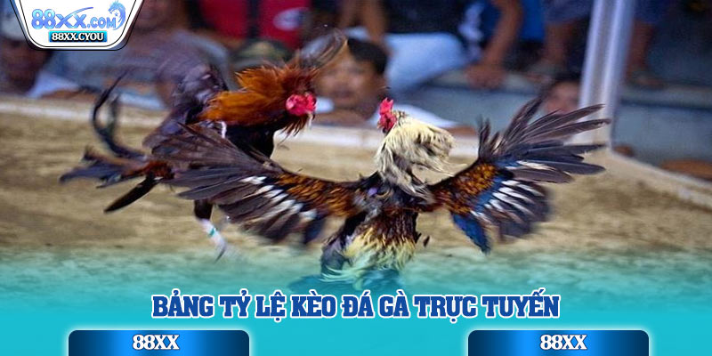 Bảng tỷ lệ kèo đá gà trực tuyến