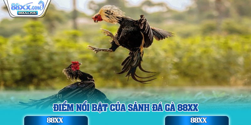 Điểm nổi bật của sảnh đá gà 88XX