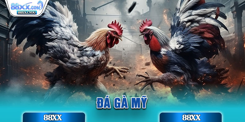 Đá Gà Mỹ