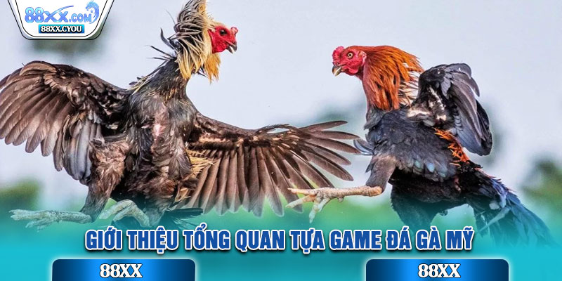 Giới thiệu tổng quan tựa game Đá Gà Mỹ
