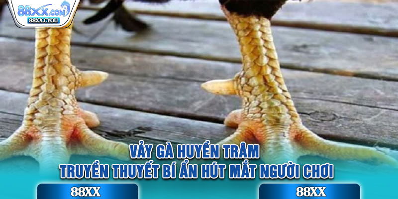 Vảy Gà Huyền Trâm – Truyền thuyết bí ẩn hút mắt người chơi
