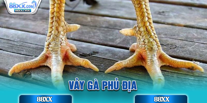 Vảy Gà Phủ Địa