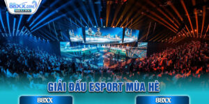 Giải Đấu Esport Mùa Hè