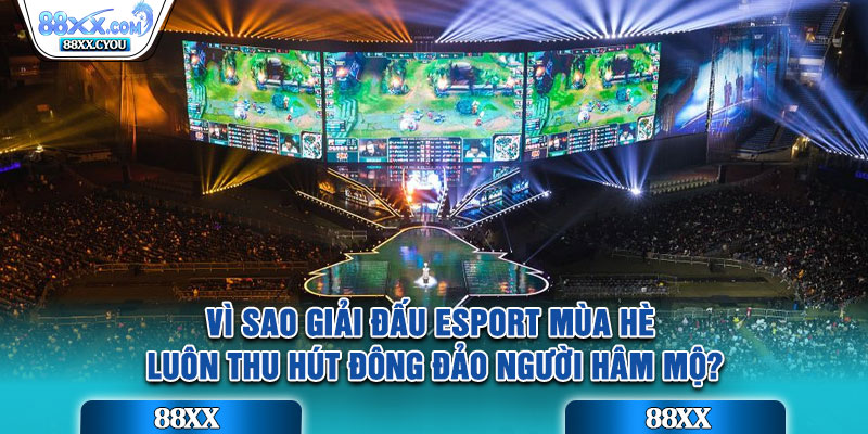 Vì sao giải đấu esport mùa hè luôn thu hút đông đảo người hâm mộ? 