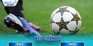 Kèo Chẵn Lẻ
